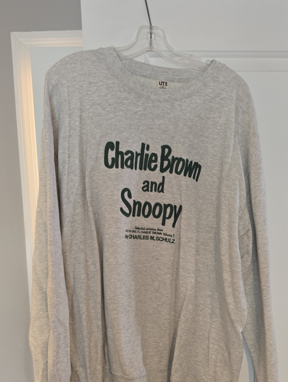 Charlie Brown and Snoopy Gray Long-Sleeve Tee for Men